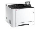 Ecosys Pa2101Cwx, Farblaserdrucker Grau/Schwarz, Usb, Lan, Wlan, Duplex (Druck)