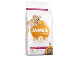 Iams Senior Cibo Secco Per Cani Con Pollo - Cibo Secco Per Cani Anziani A Partire Da 7 Anni, Adatto A Cani Di Taglia Grande, 3 Kg