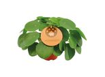 Trendyplants - Pilea Peperomioides - Pianta Da Appartamento - Altezza 20-40 Cm - Dimensione Vaso Ø15Cm