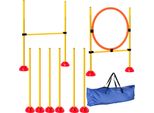 Pawhut Set Agility Cani 3 Pezzi Riempibili Per L'addestramento Dei Cani Set Di Ostacoli Con Pali Per Slalom, Ostacoli Regolabili In Altezza, Anello Per Il Salto E La Coordinazione Per L'addestramento Ai Giochi