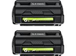 Batteria Agli Ioni Di Litio Ryobi 40V, Capacità 6000Mah, Indicatore Di Carica A Led, 2BAT
