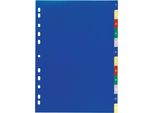 Durable Divisorio A4 In Pp 12 Tasti 1-12 Con Cavalierini Colorati Prestampati E Indice , Colorato, 675027
