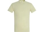 T-Shirt Sols Imperial Da Uomo, Manica Corta PC290 (3XL) (Verde Salvia)