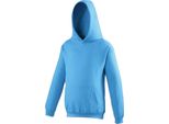 Maglia Con Cappuccio Per Bambini Awdis RW169 (146) (Borgogna)