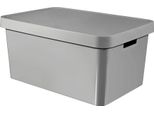 Coperchio Della Scatola Di Immagazzinaggio Curver Infinity, Scatola Di Immagazzinaggio Ordinata Da 45 Litri, Grigio