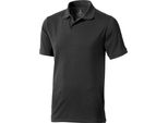 Polo Elevate Calgary Uomo, Manica Corta PF1816 (L) (Antracite)
