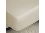 Lenzuolo Da Letto Belledorm, Titolo Dei Fili 400, Cotone Egiziano, Extra Profondo BM136 (Superking) (Colori Crema)