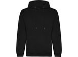 Awdis - Felpa Biologica Con Cappuccio Da Uomo RW7955 (2XL) (Nero)