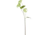 Hill Interiors - Pianta Artificiale, Viburnum HI3125 (66Cm) (Verde)