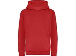 Awdis - Felpa Con Cappuccio, Biologica Per Bambini RW7957 (128) (Nero)