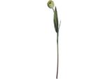 Hill Interiors - Pianta Artificiale, Tulipano HI3667 (Taglia Unica) (Verde)