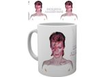 David Bowie - Tazza Da Caffè "Aladdin Sane"" BS2429 (Taglia Unica) (A Colori)"