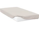 Belledorm - Lenzuolo Teso Extra Profondo, Percalle BM408 (Letto Singolo) (Avorio)