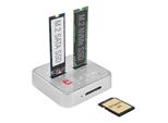Delock - Alloggiamenti Per Docking Station Ssd: 2 - M.2 - Scheda M.2 Nvme - 10Gbps - Usb 3.2 (Gen 2) - Argento (64138)