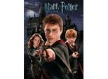 Harry Potter - Stampa Su Tela PM3301 (40 Cm X 50 Cm) (Nero/Beige)