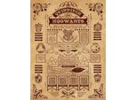 Harry Potter - Stampa Su Tela, Quidditch PM3295 (80 Cm X 60 Cm) (Colore Crema/Rosso Vino)