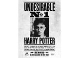 Harry Potter - Stampa Su Tela Con Cornice "Indesiderabile N. 1"" PM3556 (80 Cm X 60 Cm) (Nero/Bianco)"