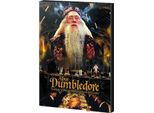 Harry Potter - Stampa Su Tela PM3339 (50 Cm X 40 Cm) (Bianco/Nero/Oro)