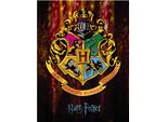 Harry Potter - Stampa Su Tela Con Cornice, Stemma Di Hogwarts PM3552 (40 Cm X 30 Cm) (A Colori)