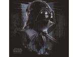 Star Wars: Rogue One - Stampa Su Tela, "Darth Vader"" PM3302 (40 Cm X 40 Cm) (Nero)"