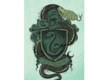 Harry Potter - Stampa Su Tela, Serpeverde PM3485 (80 Cm X 60 Cm) (Verde/Nero)