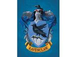 Harry Potter - Stampa Su Tela, Ravenclaw PM3487 (80 Cm X 60 Cm) (Blu/Giallo)