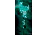 Harry Potter - Stampa Su Tela "Doe Always Patronus"" PM3346 (50 Cm X 100 Cm) (Nero/Blu)"