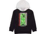 Minecraft - Felpa Con Cappuccio Per Ragazzi NS6695 (146-152) (Nero/Grigio/Verde)