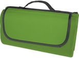 Bullet - Coperta Da Picnic "Salvie"", Plastica PF3777 (Taglia Unica) (Verde)"