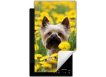 Darhaus Piastra Di Copertura Per Stufa 1 Pezzo 30X52 Cm Tappetino Antiscivolo Roll-Up, Cane - Fiori