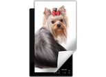 Darhaus Piastra Di Copertura Per Stufa 1 Pezzo 30X52 Cm Tappetino Antiscivolo Roll-Up, Bianco - Dog