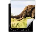 Darhaus Piastra Di Copertura Per Stufe 45X52 Cm Tappetino Antiscivolo Arrotolabile, Elefante