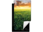 Darhaus Piastra Di Copertura Per Stufa 1 Pezzo 30X52 Cm Tappetino Antiscivolo Roll-Up, Paesaggio - Sole