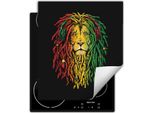 Darhaus Piastra Di Copertura Per Stufe 45X52 Cm Tappetino Antiscivolo Roll-Up, Colorato - Lion