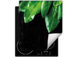 Darhaus Piastra Di Copertura Per Fornelli 45X52 Cm Tappetino Antiscivolo Roll-Up, Nero - Cucina