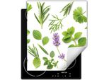 Darhaus Piastra Di Copertura Per Stufa 45X52 Cm Tappetino Antiscivolo Roll-Up, Verde - Erbe