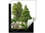 Darhaus Piastra Di Copertura Per Stufe 45X52 Cm Tappetino Antiscivolo Roll-Up, Alberi