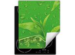 Darhaus Piastra Di Copertura Per Fornelli 45X52 Cm Tappetino Antiscivolo Roll-Up, Verde - Fiore