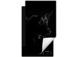 Darhaus Piastra Di Copertura Per Stufa 1 Pezzo 30X52 Cm Tappetino Antiscivolo Roll-Up, Nero - Cane