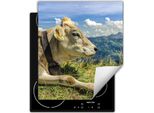 Darhaus Piastra Di Copertura Per Stufe 45X52 Cm Tappetino Antiscivolo Arrotolabile, Mucca