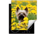 Darhaus Piastra Di Copertura Per Stufa 45X52 Cm Tappetino Antiscivolo Roll-Up, Cane - Fiori