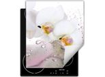 Darhaus Piastra Di Copertura Per Fornelli 45X52 Cm Tappetino Antiscivolo Roll-Up, Bianco - Orchidea