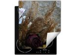 Darhaus Piastra Di Copertura Per Stufa 45X52 Cm Tappetino Antiscivolo Roll-Up, Fiori