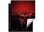 Darhaus Piastra Di Copertura Per Fornelli 45X52 Cm Tappetino Antiscivolo Roll-Up, Rosso - Chilli