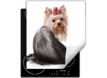 Darhaus Piastra Di Copertura Per Fornelli 45X52 Cm Tappetino Antiscivolo Roll-Up, Bianco - Cane