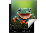 Darhaus Piastra Di Copertura Per Fornelli 45X52 Cm Tappetino Antiscivolo Roll-Up, Verde - Frog