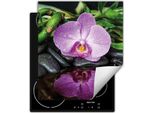 Darhaus Piastra Di Copertura Per Fornelli 45X52 Cm Tappetino Antiscivolo Roll-Up, Orchidea - Fiore