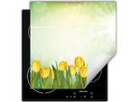 Darhaus Piastra Di Copertura Per Stufa 50X52 Cm Tappetino Antiscivolo Roll-Up, Tulipani
