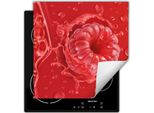 Darhaus Piastra Di Copertura Per Fornelli 60X52 Cm Tappetino Antiscivolo Roll-Up, Rosso - Lampone