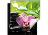Darhaus Piastra Di Copertura Per Stufa 60X52 Cm Tappetino Antiscivolo Roll-Up, Verde - Orchidea